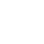 logo alossito blanco